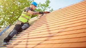 Best Roof Ventilation Installation  in Paw Paw, MI