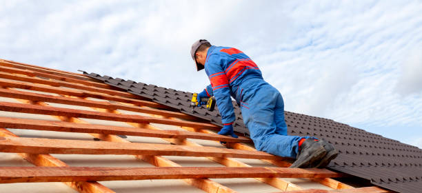Best Rubber Roofing (EPDM, TPO)  in Paw Paw, MI
