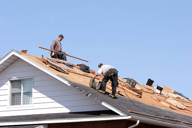 Best Roof Moss and Algae Removal  in Paw Paw, MI