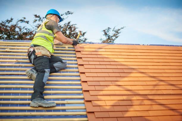 Best Roof Maintenance and Cleaning  in Paw Paw, MI